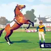 kelly.storer - @kelly.storer - TikTok