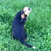 kellytraster - @kellytraster - TikTok