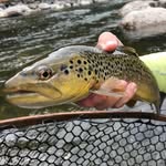 Kelly Straw - @flymaster2 - Instagram
