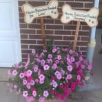 Kelly Terwilliger - Facebook