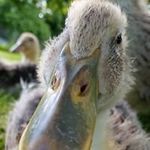 Kelly Thrower - @kelly.thrower.52 - Instagram