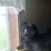 Kelly Timbrook - Facebook
