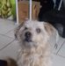 Kelly Toner - Facebook