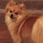 Kelly Trapp - @kjtrapp381 - Instagram