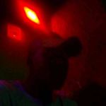 Kelly Trapper - @trapper.kelly - Instagram
