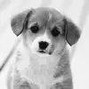 kelly - @kelly.trudeau22 - TikTok