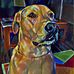 Kelly Tuck - Facebook