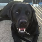Kelly Tuck - @hellsbellskels65 - Instagram
