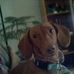 Kelly Tuck - Facebook