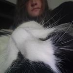 kelly utter - @certified_toaster710 - Instagram