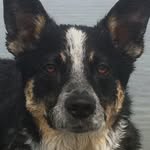 Kelly Vanderburgh - @vanderkelli - Instagram