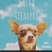 Kelly Vela - Facebook