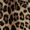 Kelly - @kelly.vivet - TikTok