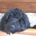 Kelly Willhite Bowers - @willhitebowers - Instagram