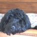 Kelly Willhite Bowers - Facebook