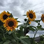 Kelly - @kelly.windisch - Instagram