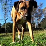 Kelly Wind - @mrswind5 - Instagram