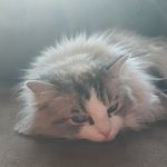 Kelly Witters - @kelly.witters1 - Instagram