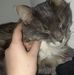 Kelly Witz - Facebook