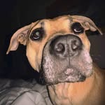 Kelly Wohlgemuth - @kellykathrine - Instagram