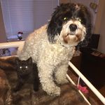 KellyWolverton248 - @___kelly_w___ - Instagram