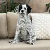 kellywolverton - @kelly_wolverton - TikTok