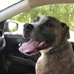 Kelly Wright - @kelly.wright.1291421 - Instagram