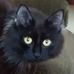 Kelly Wright - Facebook