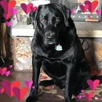Kelly Wunderlich-Healey - @kellyjeanhealey - Instagram