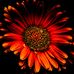 Kelly Wunderlich Photography - Facebook