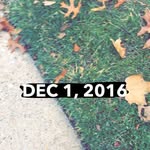 kelsey ackerman - @kelseysaywhat._ - Instagram