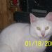 Kelsey Arnett - Facebook