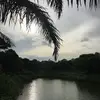 Swati_Sarab - @kelsey_bechtel - TikTok
