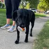 Kelsey Berger - @kelsey_berger - TikTok