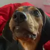 user6483520918284 - @yokelseybetts - TikTok