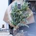Kelso Bloom - Facebook