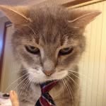 Kelsey Cheney - @kacheney26 - Instagram