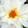 Kelsey cleaver-warran - @kelsey.cleaverwar - TikTok