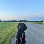 Kelsey Cobb - @kshoen17 - Instagram