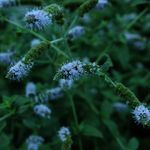 Kelsey coffman - @kelseys_photography_10 - Instagram