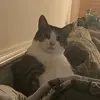 kelsey - @kelseycone - TikTok