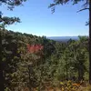 kelseycornell7 - @kelseycornell7 - TikTok