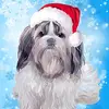 kelsey_cusack - @kelsey_cusack - TikTok