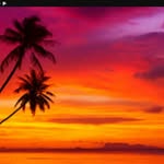 Sunset bae -youtube - @kelseydemart - Instagram