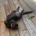 Kelsey Tanner - Facebook