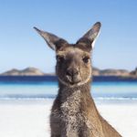 Kelsey Downey - @kelsey_in_aussie - Instagram