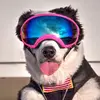 Kelsey Drummond168 - @kelseypdrummond - TikTok