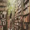 Kelseyreads - @paigereader22 - TikTok