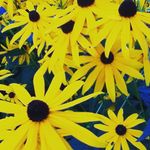 Kelsey Eckert - @nice_photos_11 - Instagram