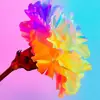 Kelsey Servin - @kelsey.servin - TikTok
